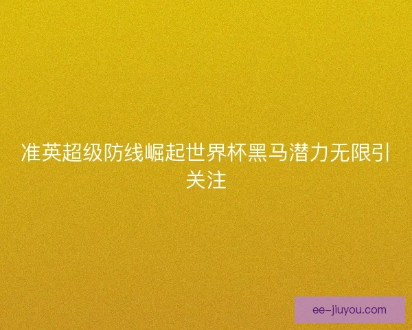 准英超级防线崛起世界杯黑马潜力无限引关注