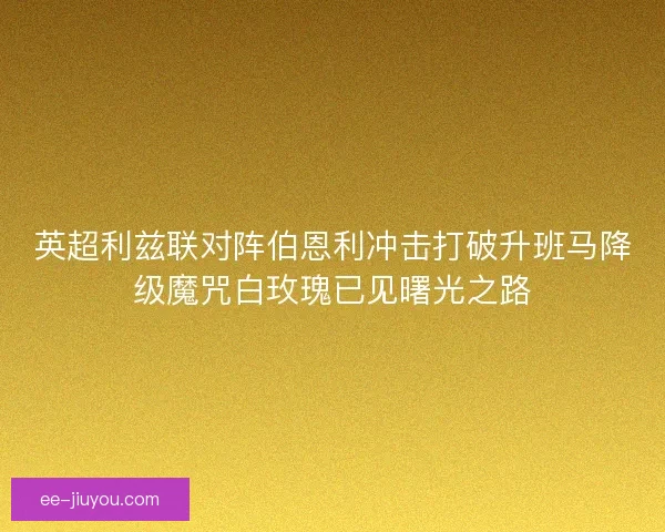英超利兹联对阵伯恩利冲击打破升班马降级魔咒白玫瑰已见曙光之路